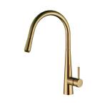 Modern National Kasper Pull Out Kitchen Mixer Brushed Gold