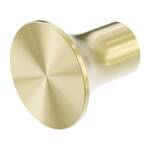 Nero Zen SS316L Robe Hook Brushed Gold