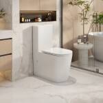 Oasis Gloss White Rimless Back to Wall Toilet