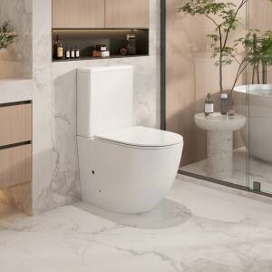 Rio Gloss White Rimless Back to Wall Toilet